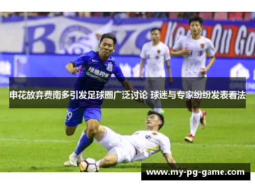 申花放弃费南多引发足球圈广泛讨论 球迷与专家纷纷发表看法
