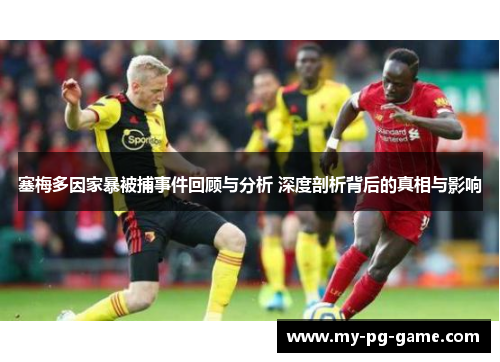塞梅多因家暴被捕事件回顾与分析 深度剖析背后的真相与影响
