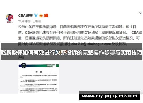 赵鹏教你如何有效进行欠薪投诉的完整操作步骤与实用技巧