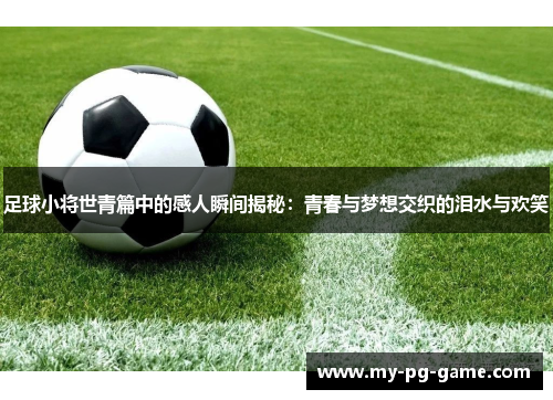足球小将世青篇中的感人瞬间揭秘：青春与梦想交织的泪水与欢笑