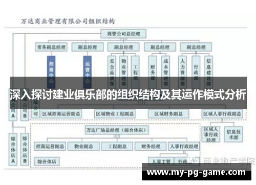 深入探讨建业俱乐部的组织结构及其运作模式分析