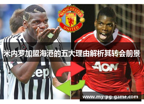 米内罗加盟海港的五大理由解析其转会前景