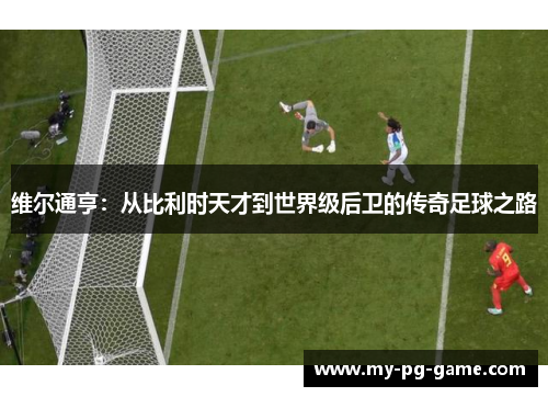 维尔通亨：从比利时天才到世界级后卫的传奇足球之路