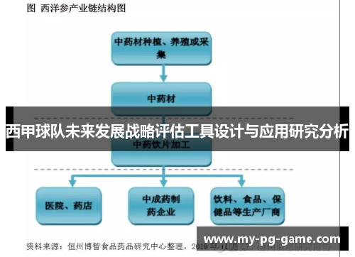 西甲球队未来发展战略评估工具设计与应用研究分析