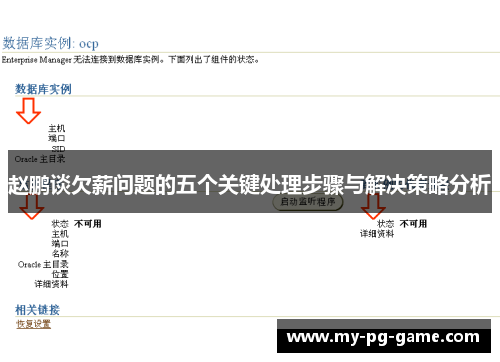 赵鹏谈欠薪问题的五个关键处理步骤与解决策略分析